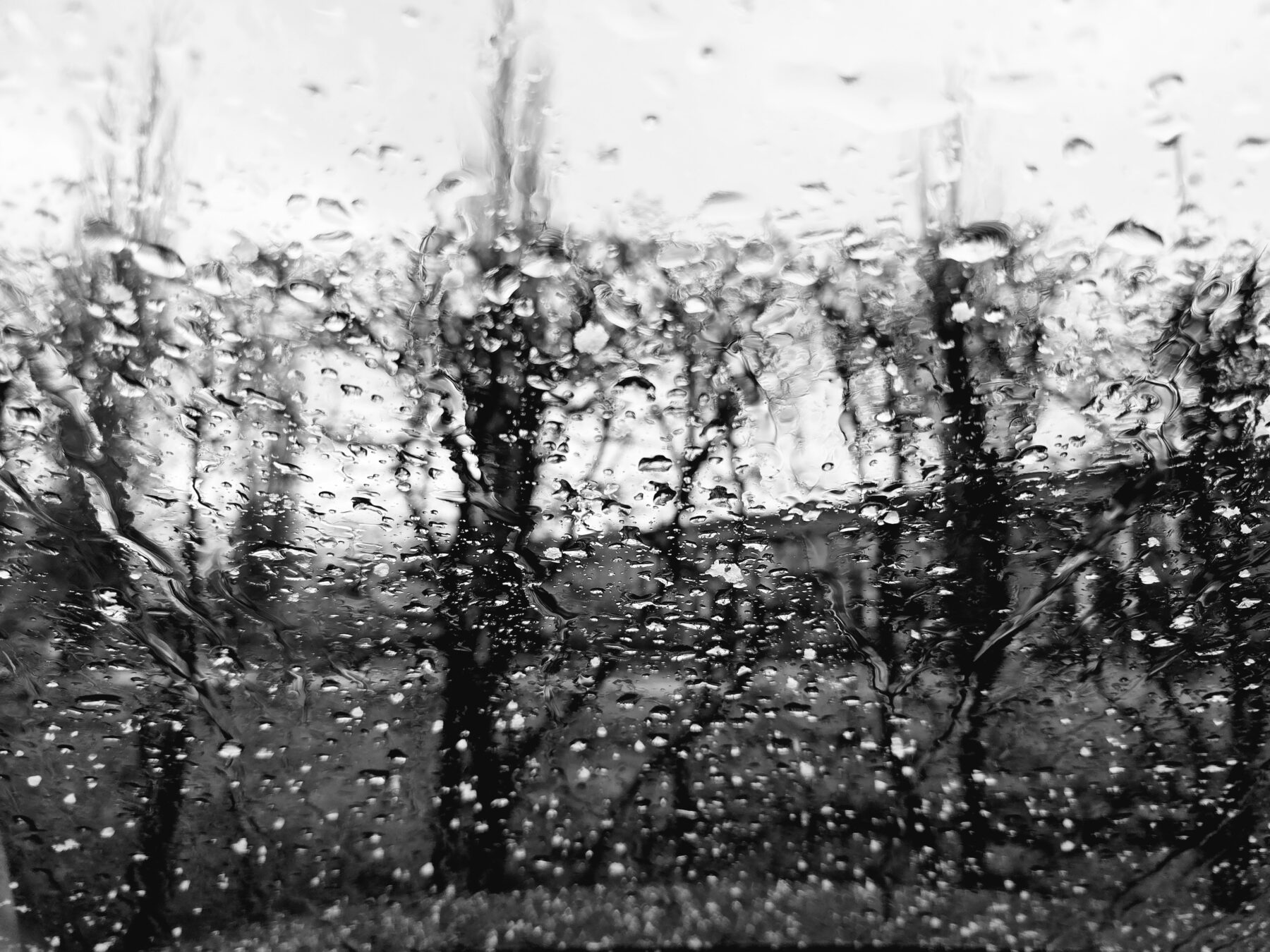 Rain
