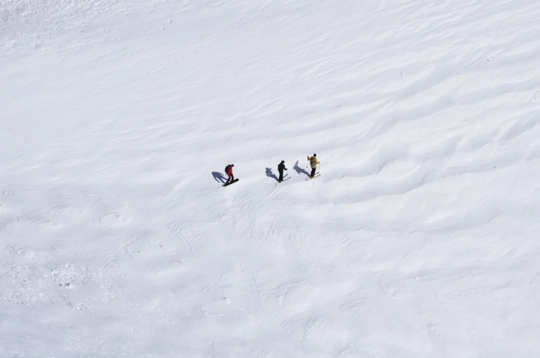 Trois skieurs