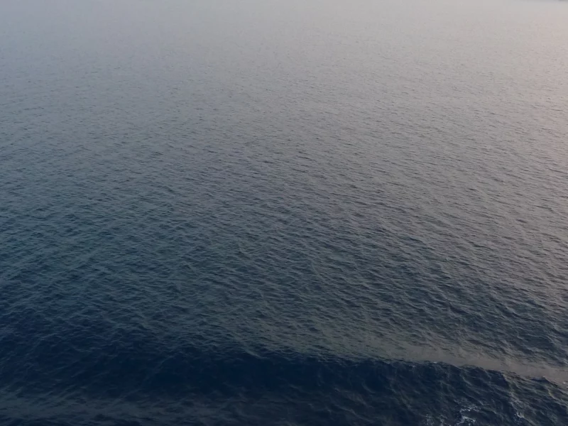 The sea