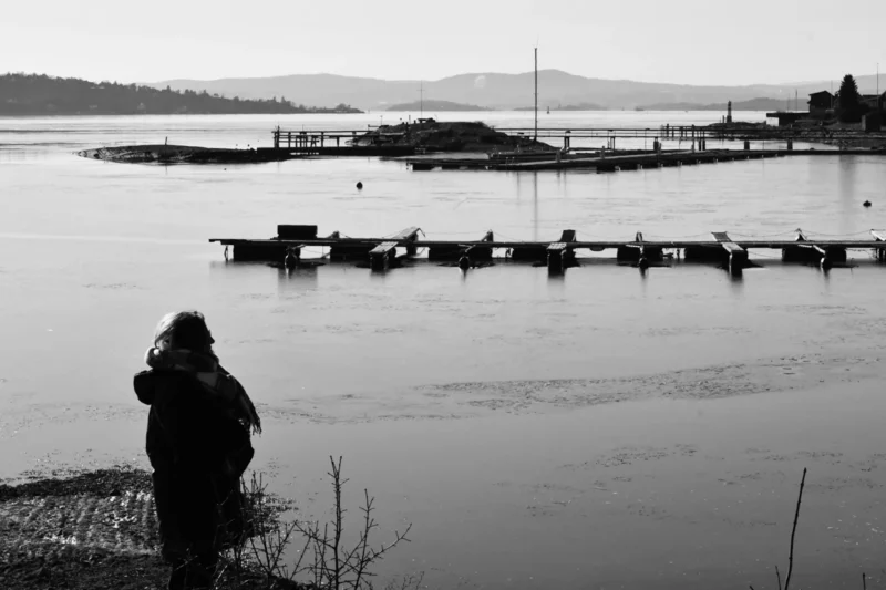 Looking at the fjord