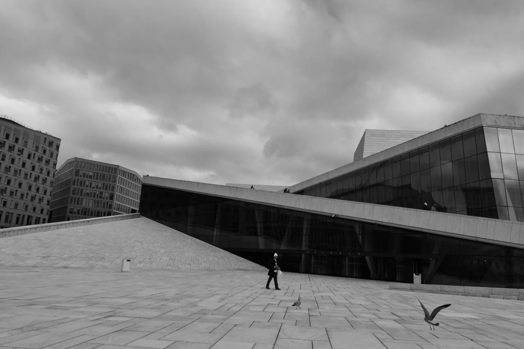 Feeding birds at the Oslo Opera House
